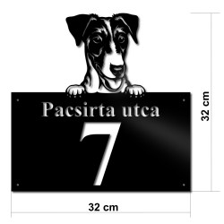 Foxterrier p02